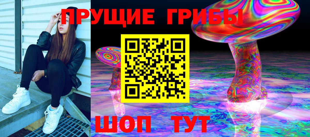 Галлюциногенные грибы Cubensis Королёв