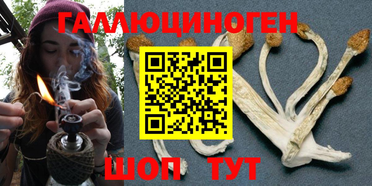 Псилоцибиновые грибы мухоморы  где купить   Галлюциногенные грибы Psilocybine cubensis  Королёв  Вход с VPN 