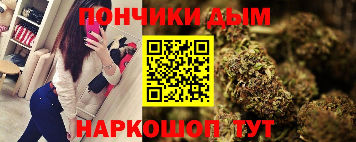 Каннабис семена  Вход с VPN  Королёв  Бошки марихуана конопля  Шишки марихуана гибрид  МАРИХУАНА Amnesia 